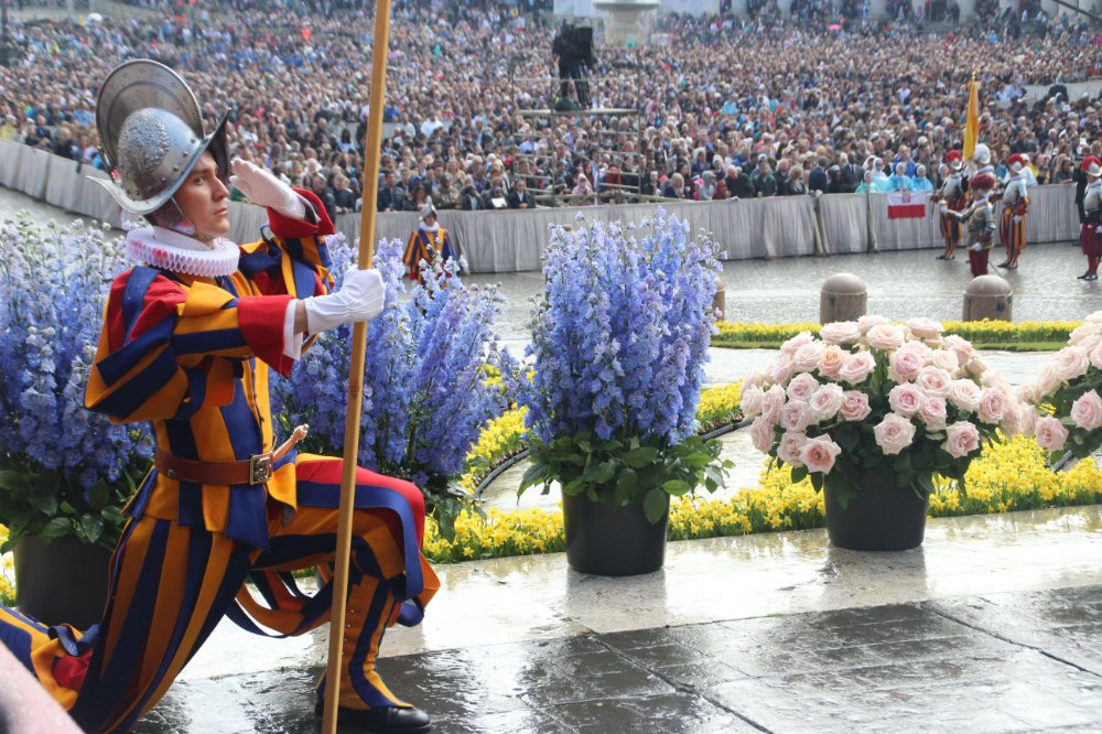 rome 1 (14)