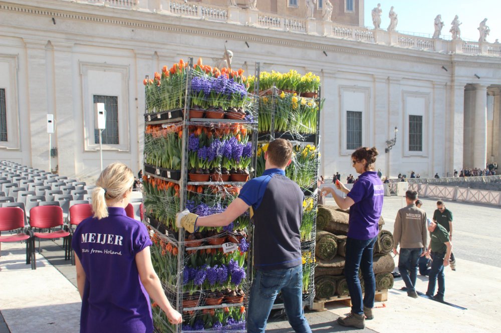 rome 1 (4)